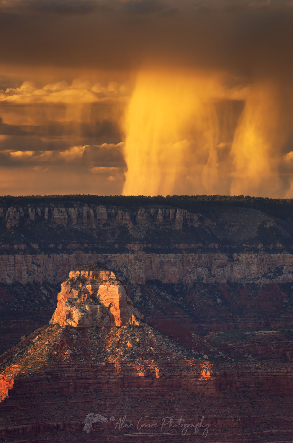 Evening storm over the North Rim of Grand Canyon seen from Mather Point, Grand Canyon National Park #55488