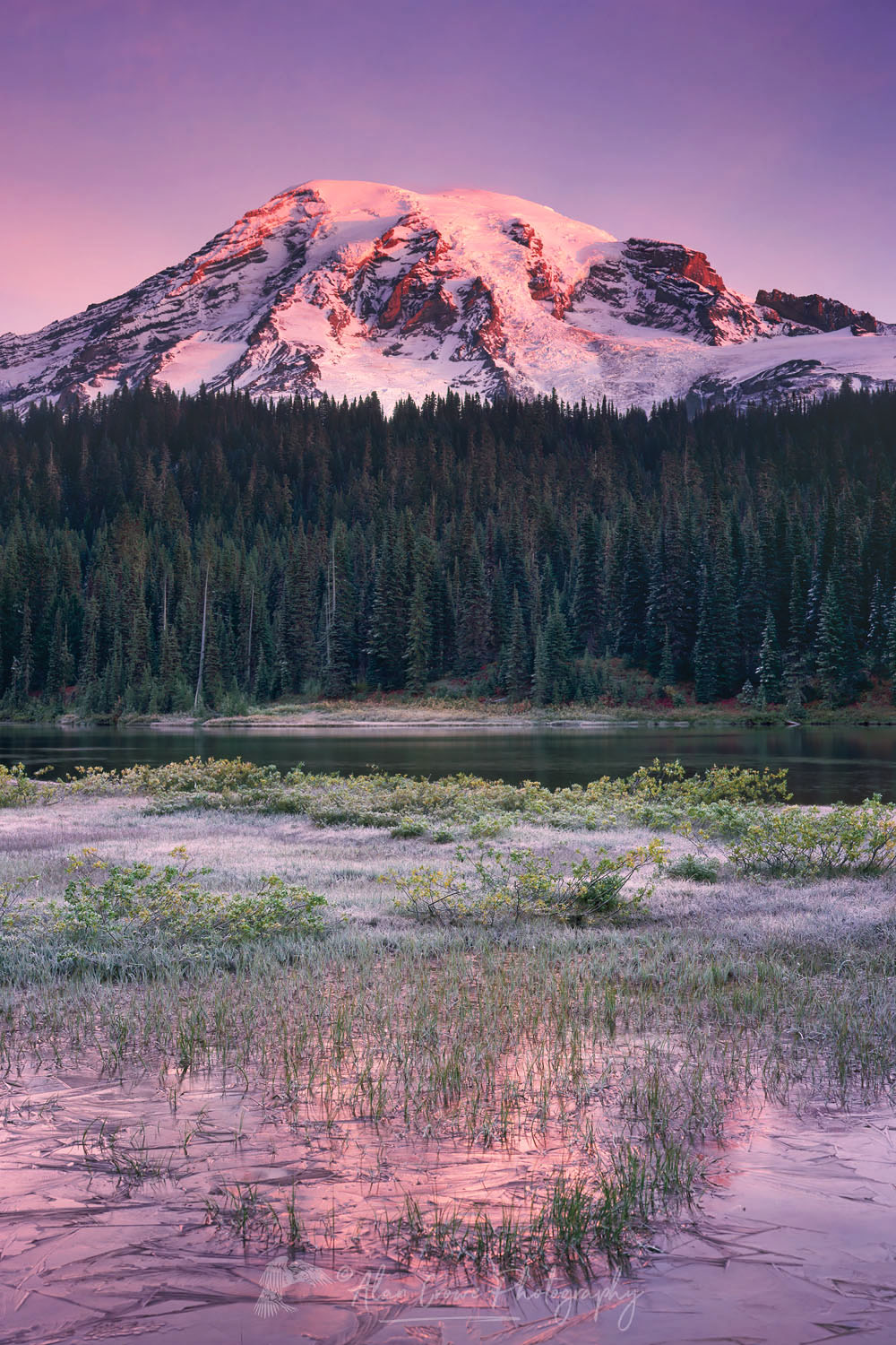 Mount Rainier from Reflection Lake, Mount Rainier National Park #2617