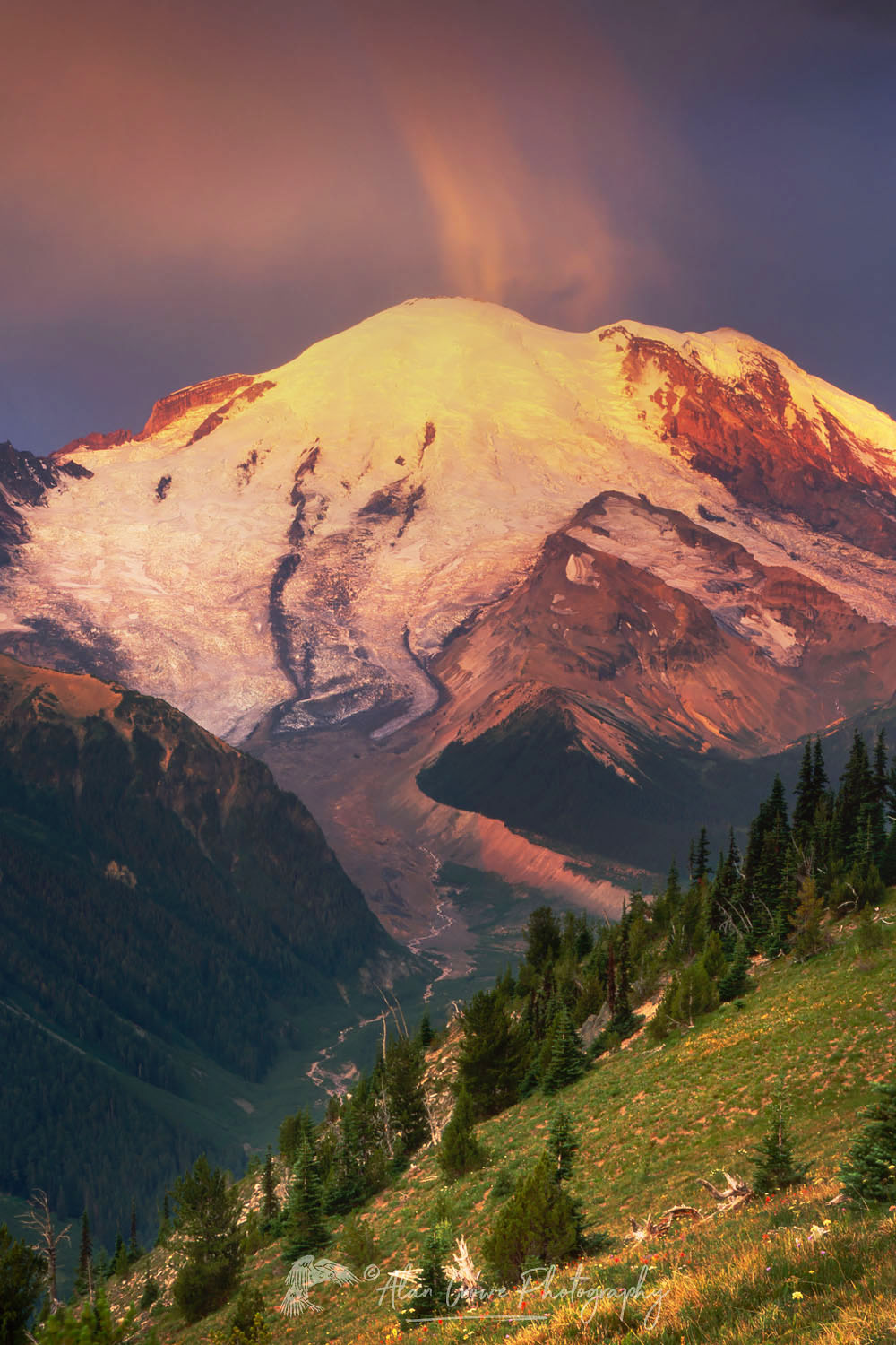 Sunrise on Mount Rainier from Yakima Park, Mount Rainier National Park Washington #3495
