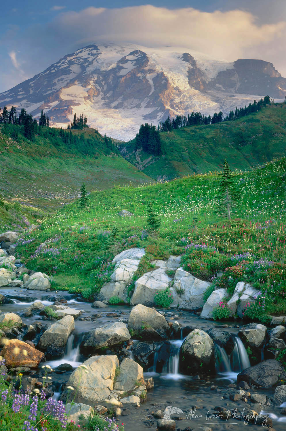 Mount Rainier and Edith Creek, Mount Rainier National Park Washington #3522