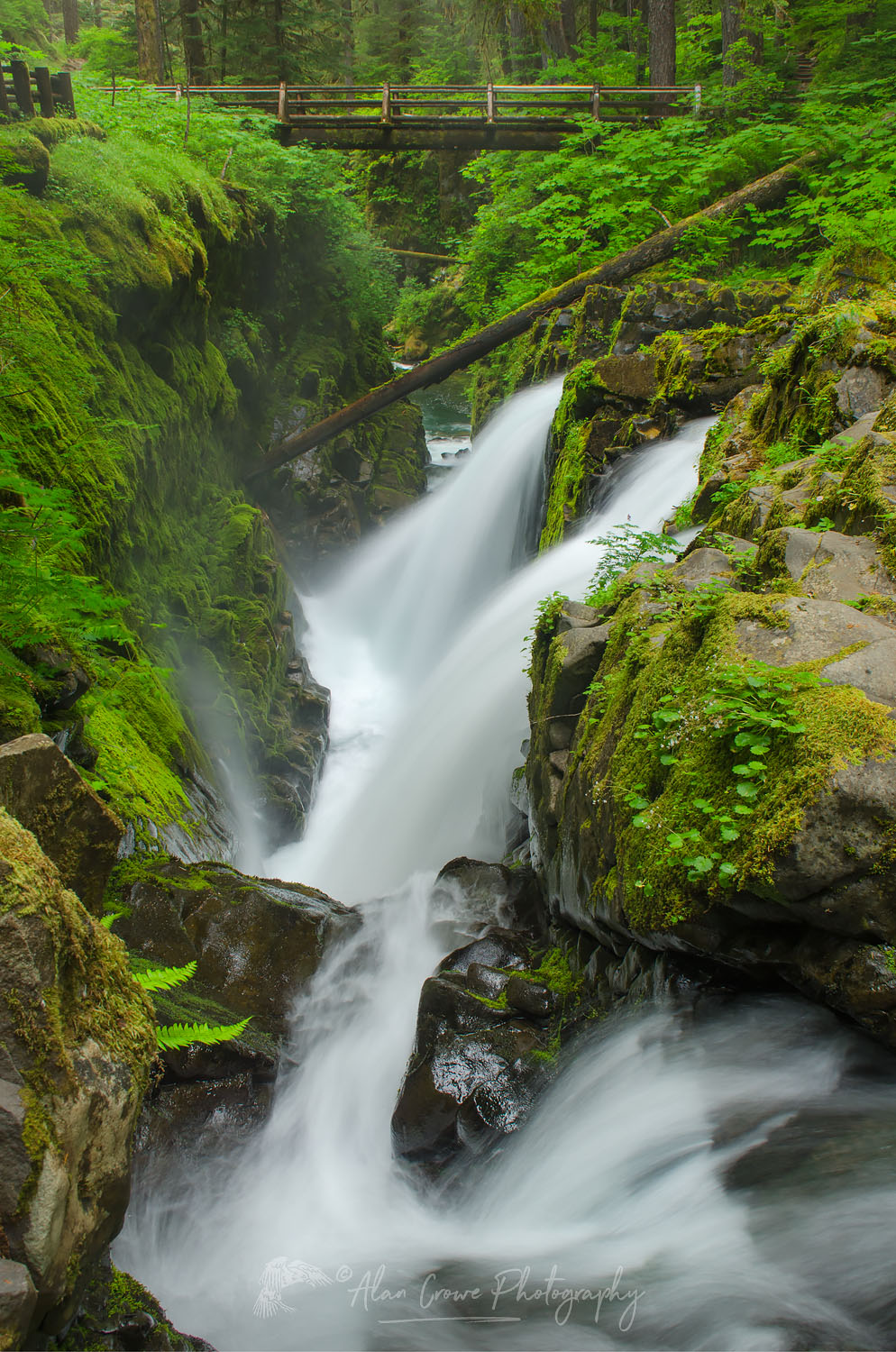 Sol Duc Falls, Olympic National Park #53867