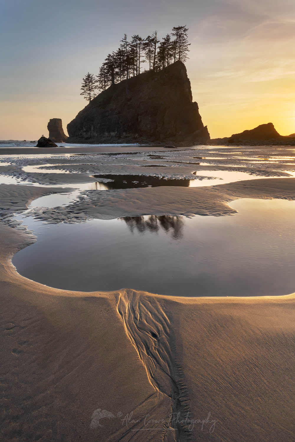 Second Beach tide pools at sunset, Olympic National Park near La Push Washington #65404