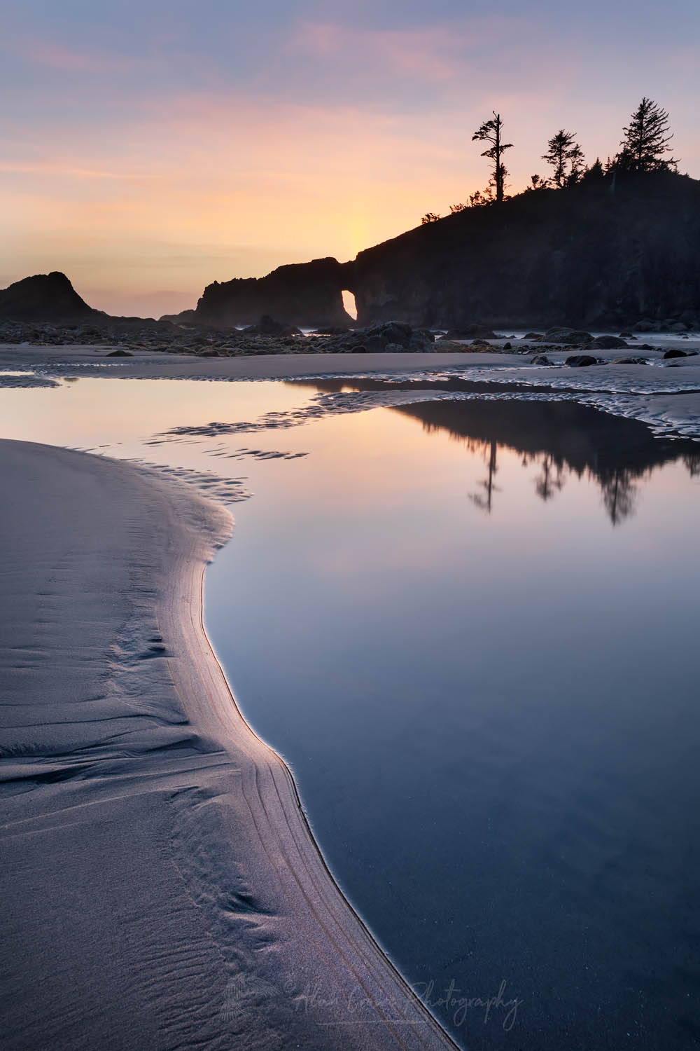 Second Beach tide pools, Olympic National Park near La Push Washington #65452