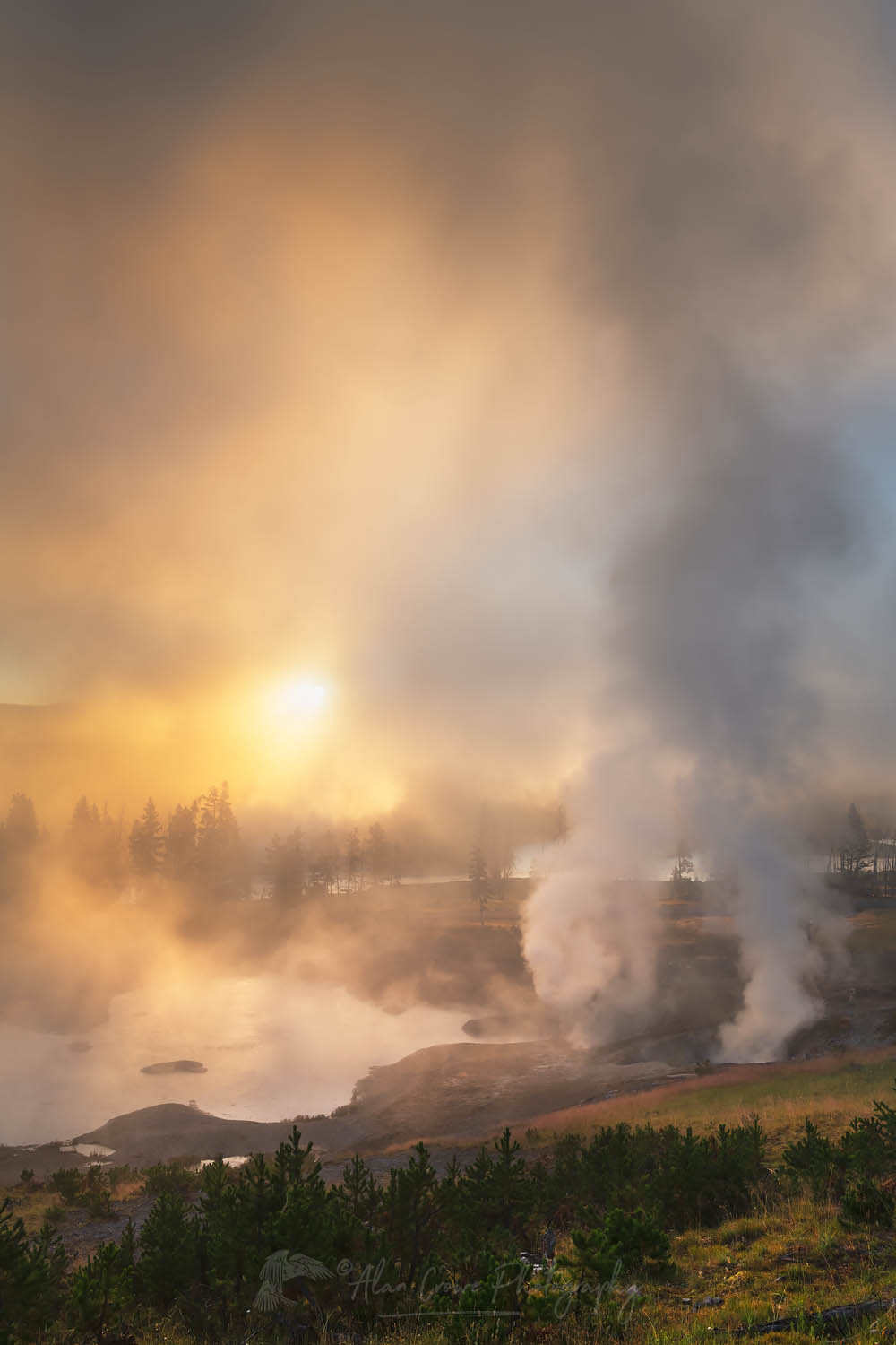 Fog and steam rising from Mud Volcano area geysers and hot springs at sunrise. Yellowstone National Park #69426