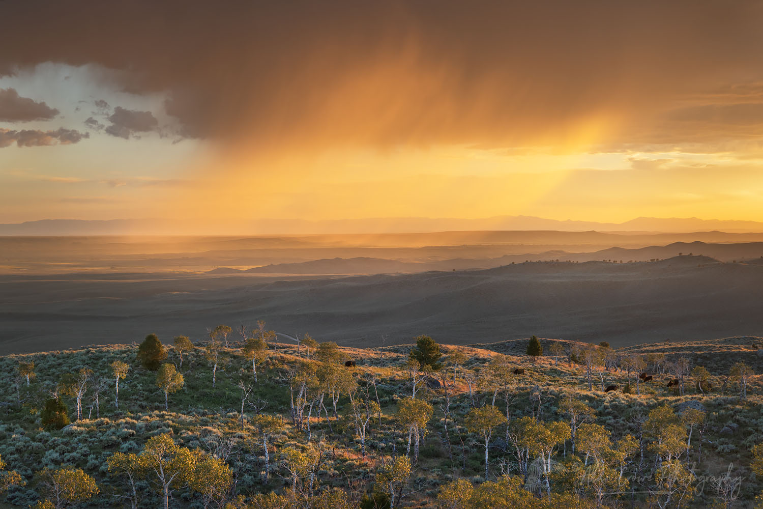 Stormy sunset from Scab Creek Trailhead. Bridger-Teton National Forest Sublette County, Wyoming #69042