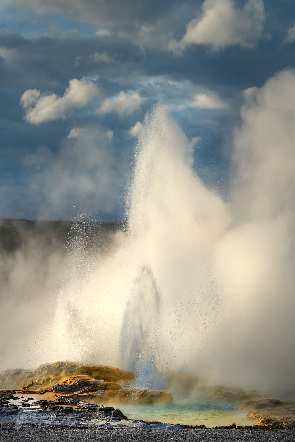 Clepsydra Geyser along the Fountain Paint Pot Trail Yellowstone National Park #67803