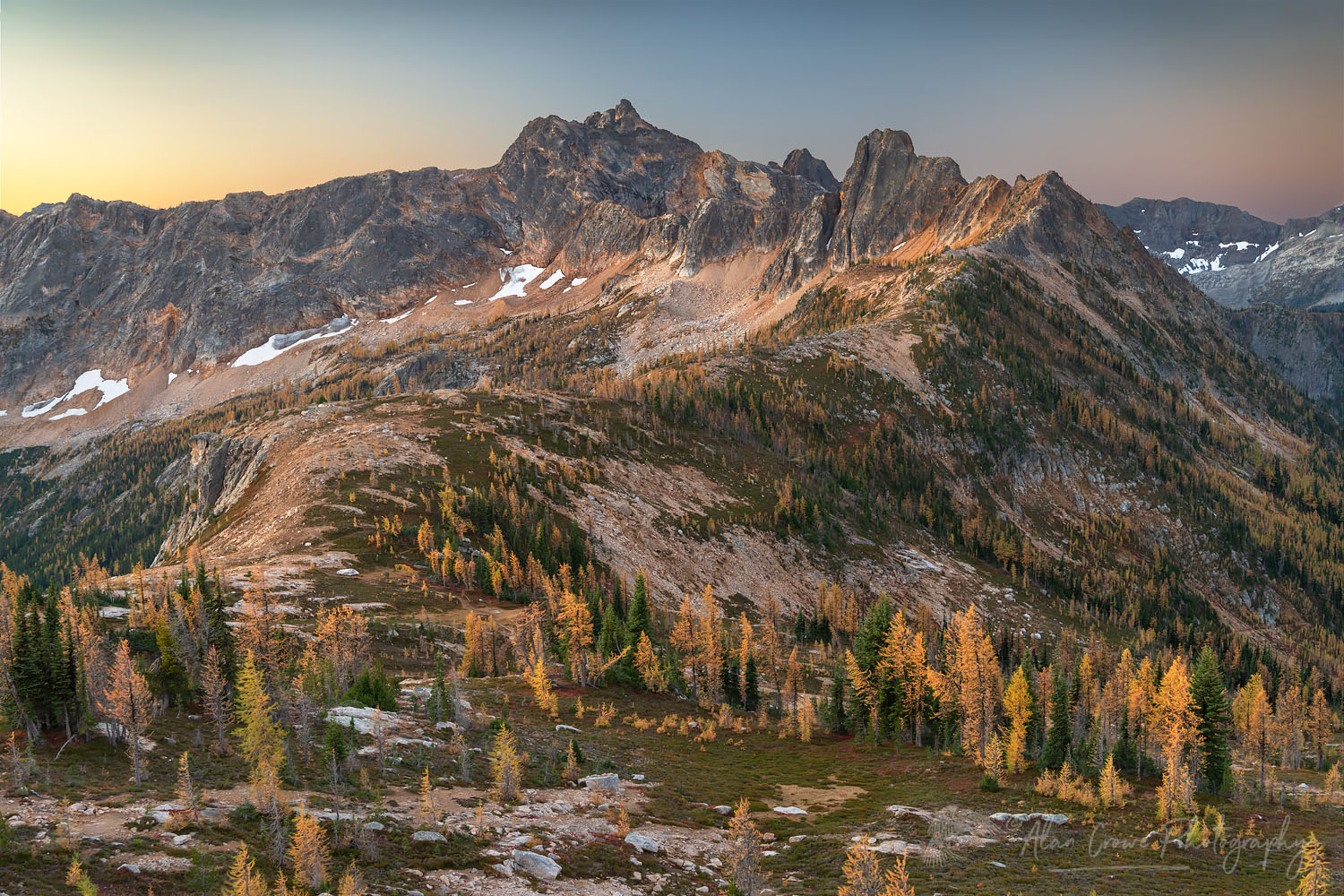 Subalpine Larches (Larix lyallii) in golden autumn color at Cutthroat Pass. Cutthroat Peak North Cascades Washington #70430