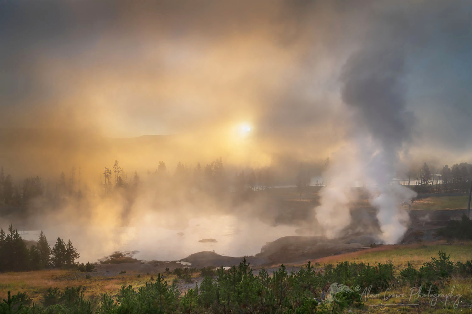 Fog and steam rising from Mud Volcano area geysers and hot springs at sunrise. Yellowstone National Park #69423
