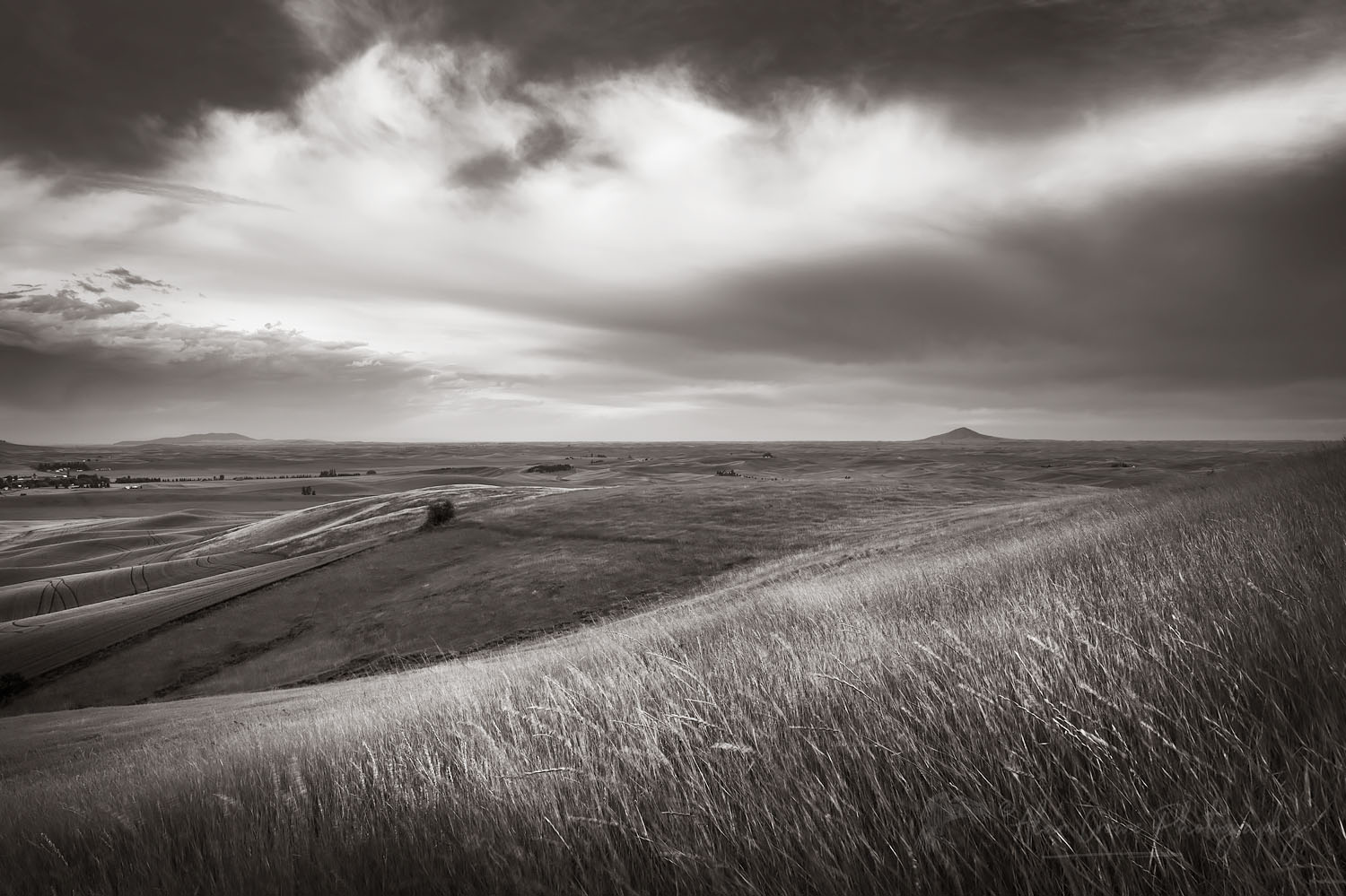 View of the Palouse from grassy hillside near Farmington Washington #68706bw