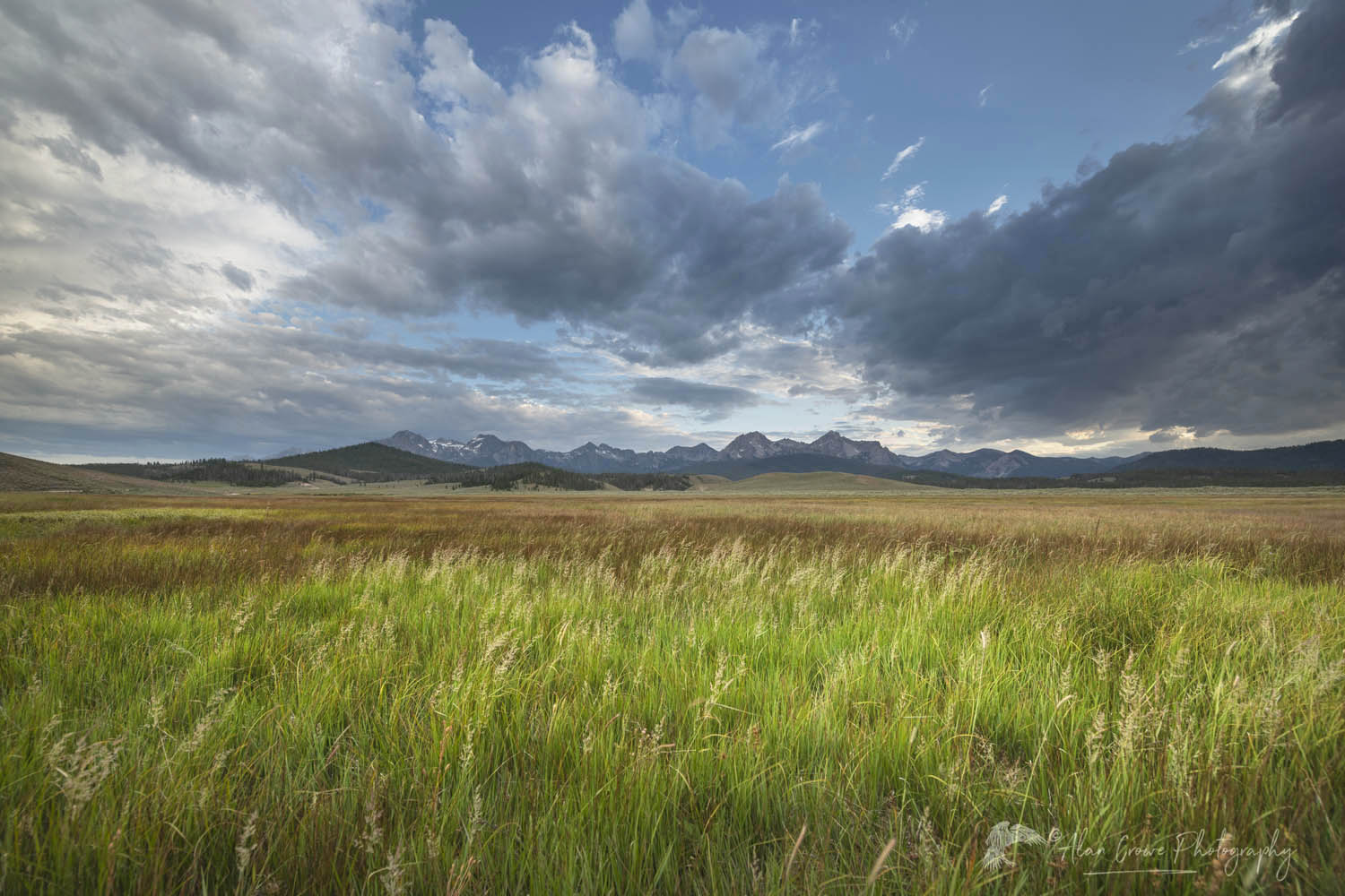 Stanley Basin meadows. Sawtooth Mountains Idaho #65828