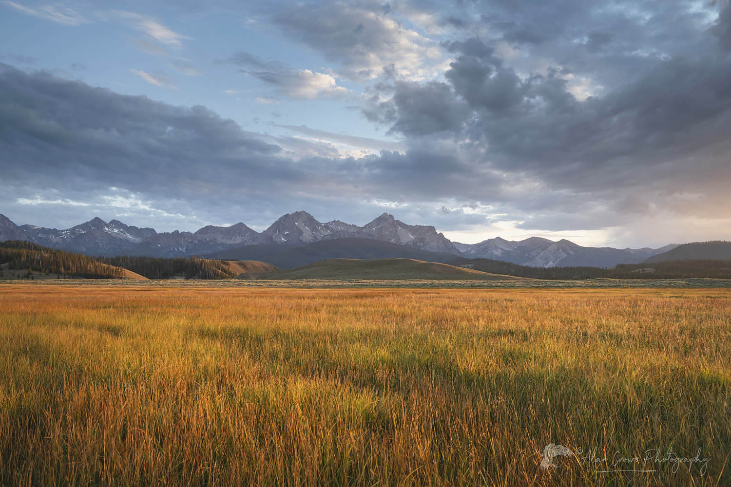 Stanley Basin meadows. Sawtooth Mountains Idaho #65841