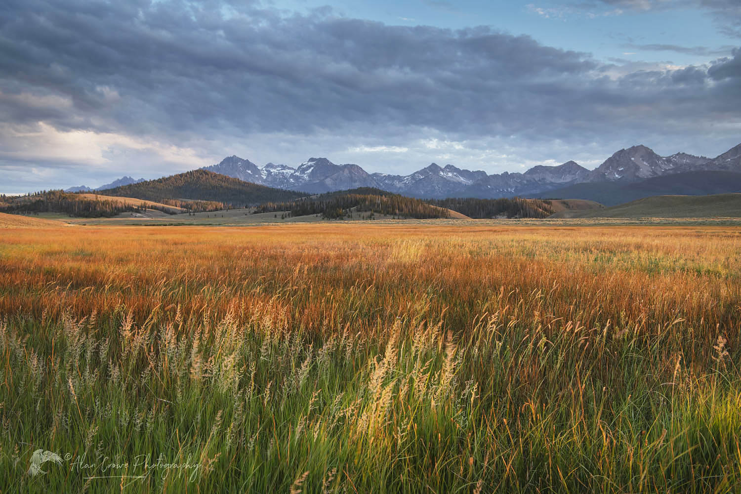 Stanley Basin meadows. Sawtooth Mountains Idaho #65845