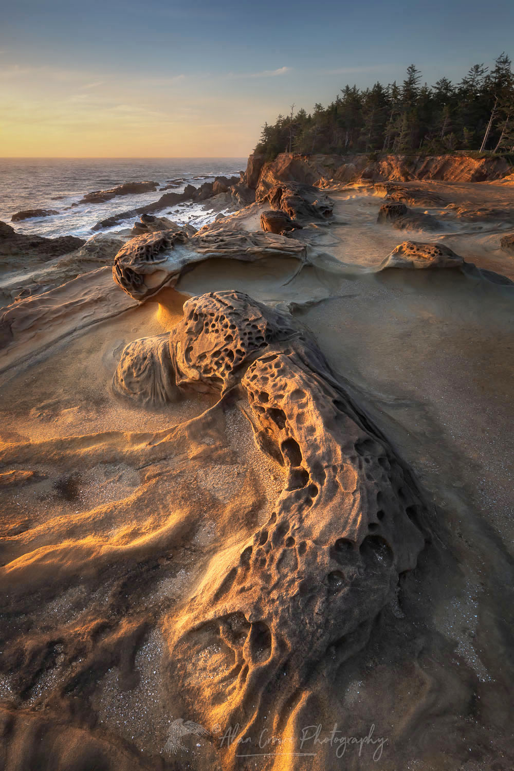 Eroded sandstone concretions and formations at Shore Acres State Park Oregon #68560or