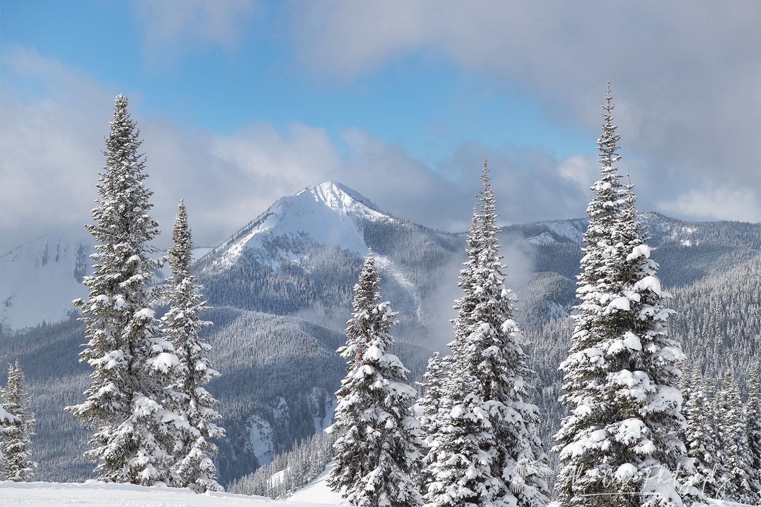North Cascades in fresh winter snow. Manning Provincial Park British Columbia #64779