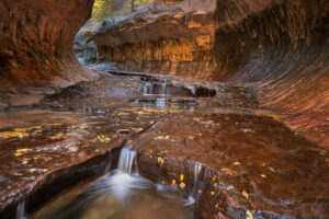 The Subway Zion National Park #76810