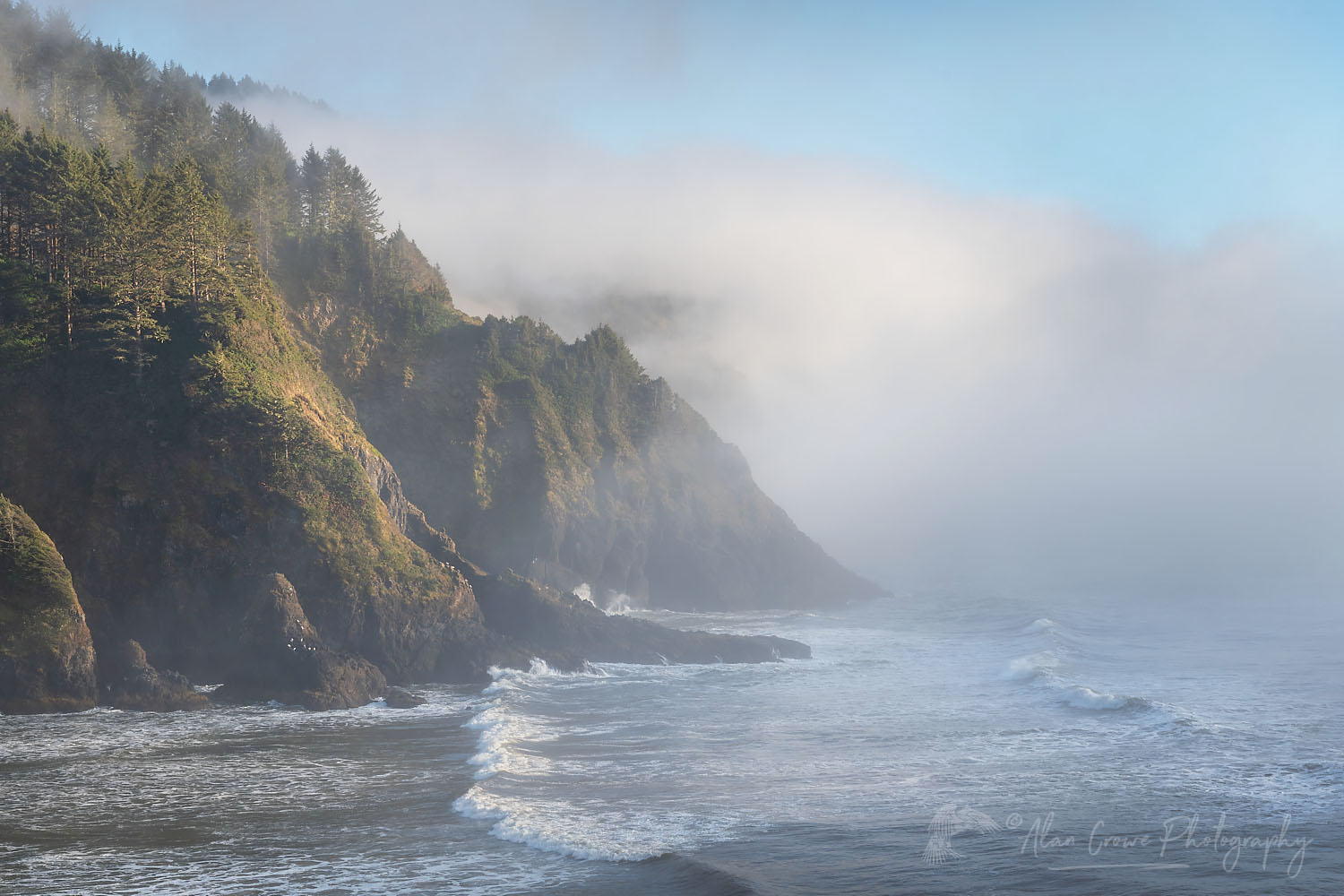 Fog at Heceta Head Oregon #71139