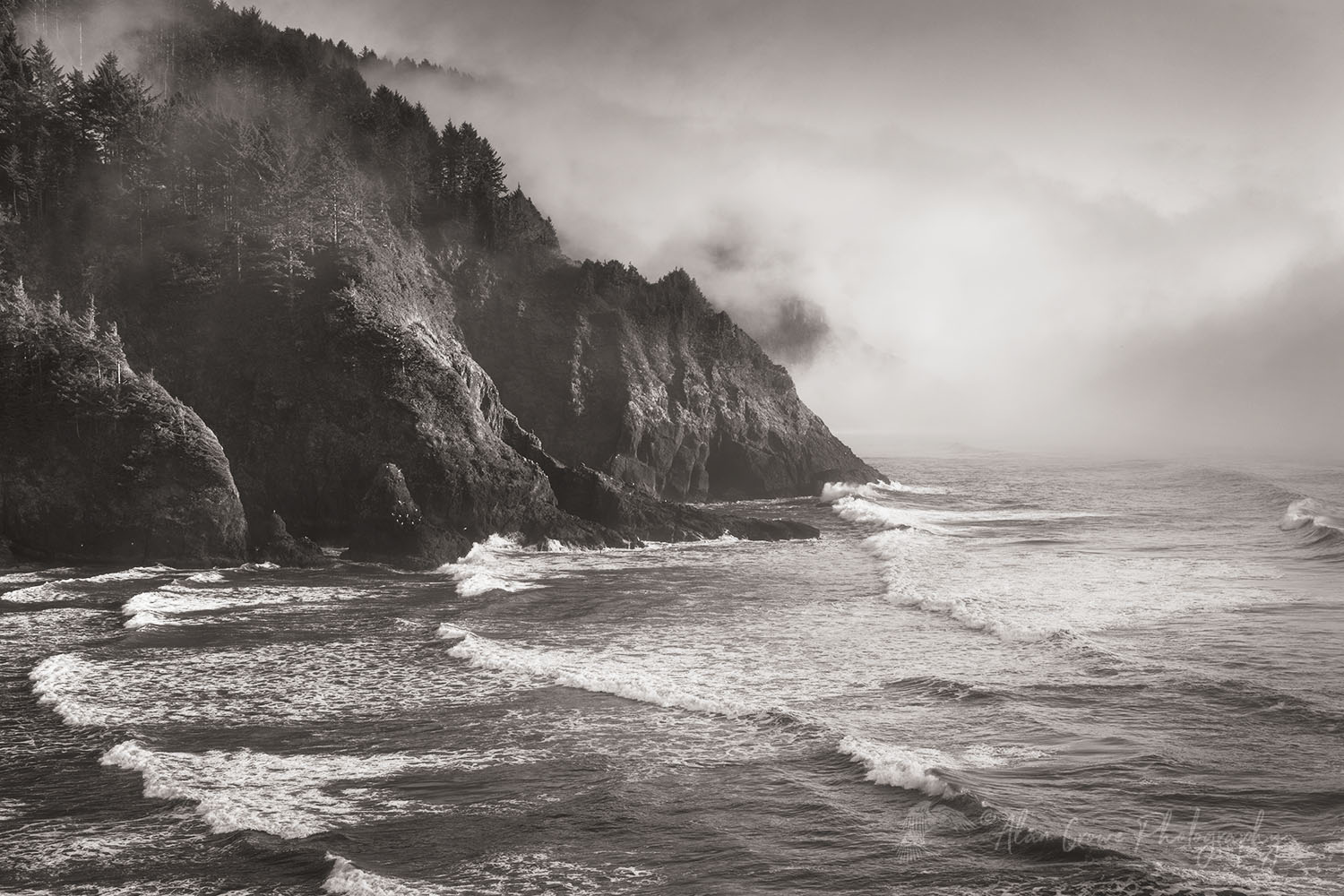 Fog at Heceta Head Oregon #71143bw