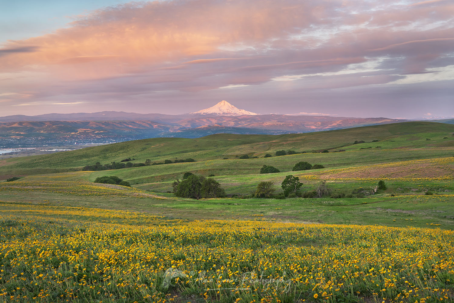 Mount Hood seen from Columbia Hills State Park Washington #71217