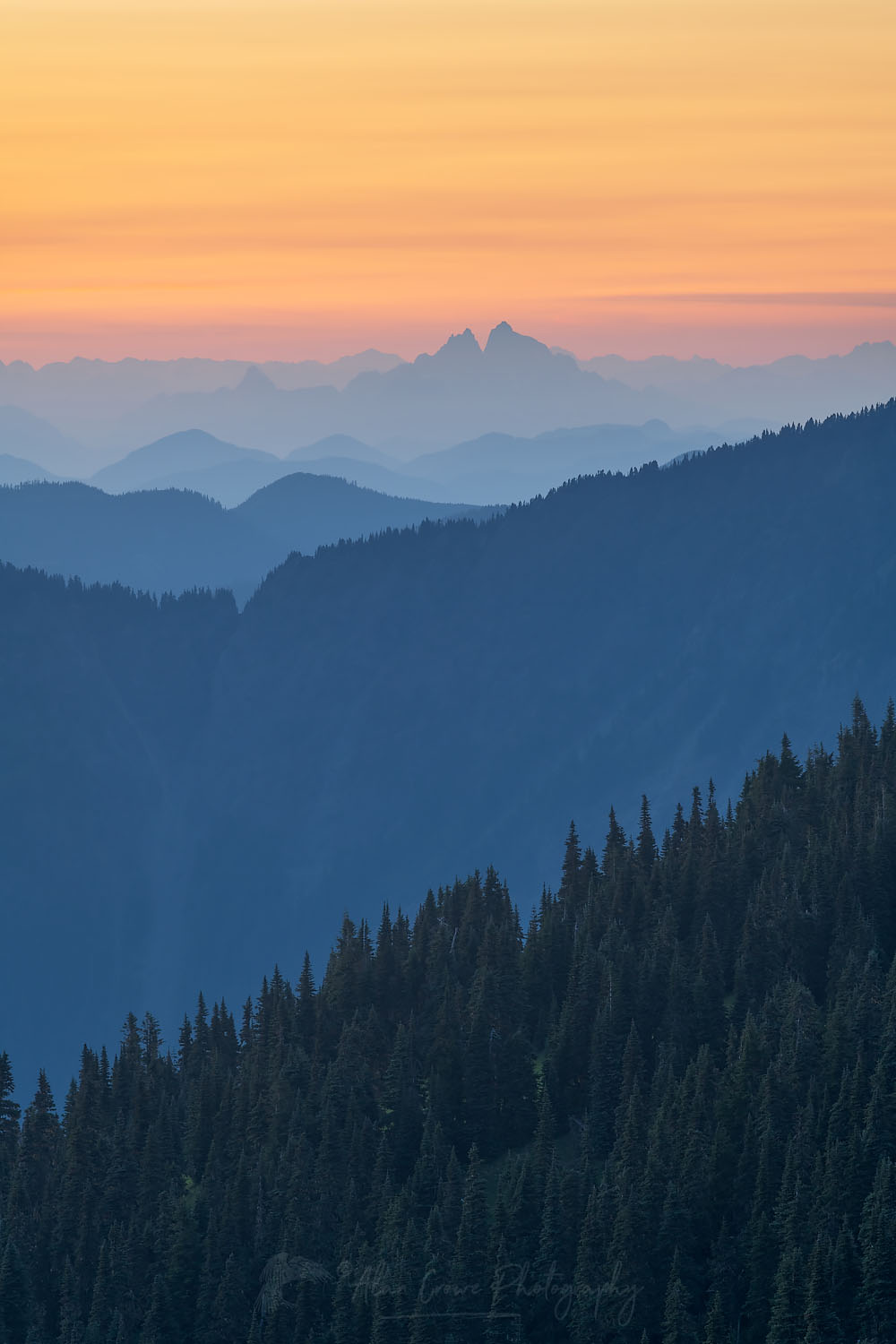 Twilight over North Cascades from Skyline Divide Mount Baker Wilderness Washington #71774