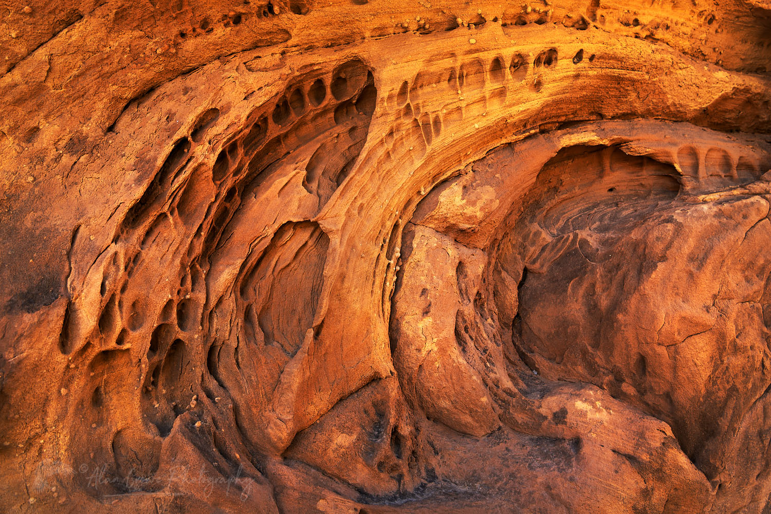 Sandstone patterns at Echo Park Dinosaur National Monument Utah #74401