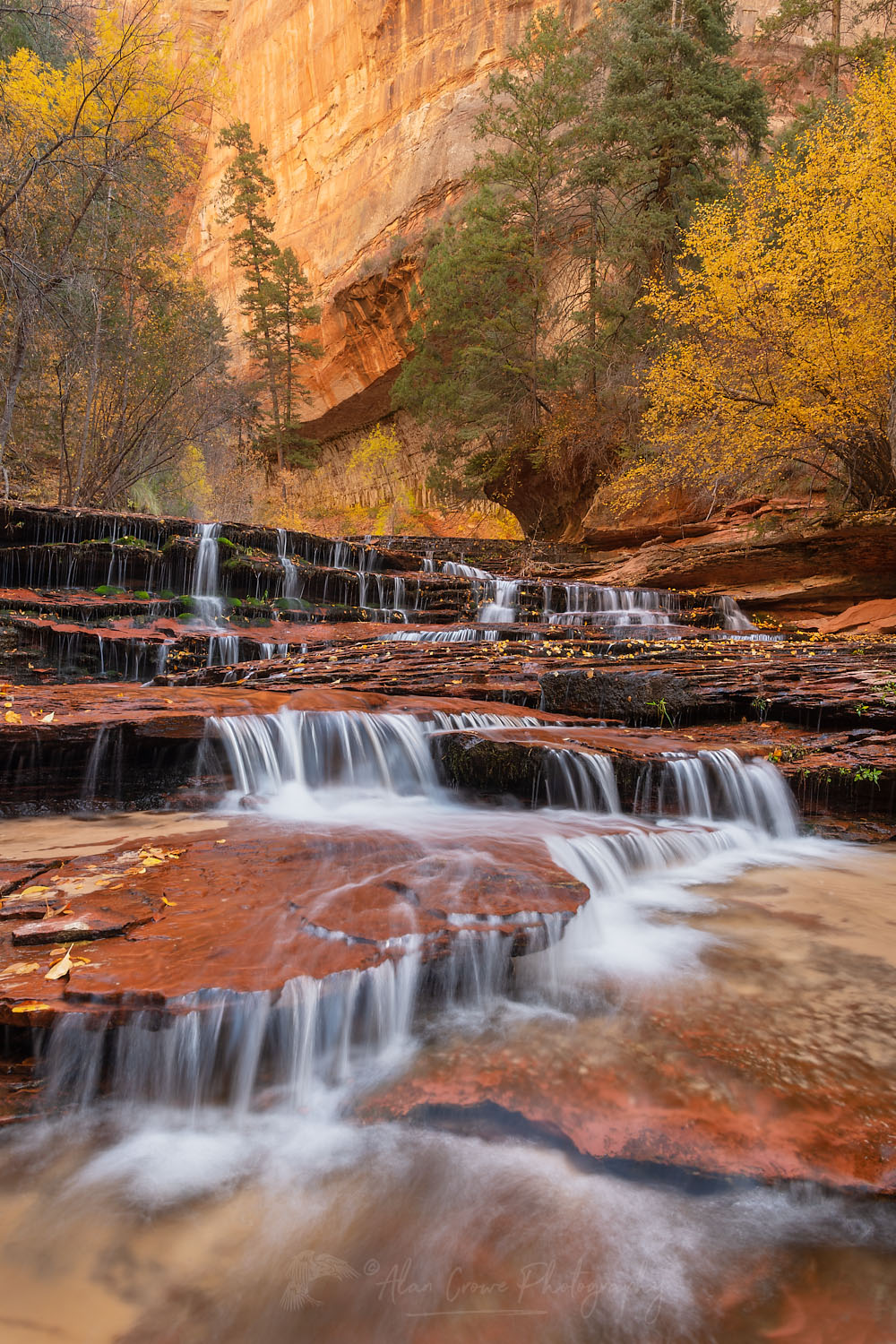 Archangel Falls on Left Fork North Creek, Zion National Park #76775
