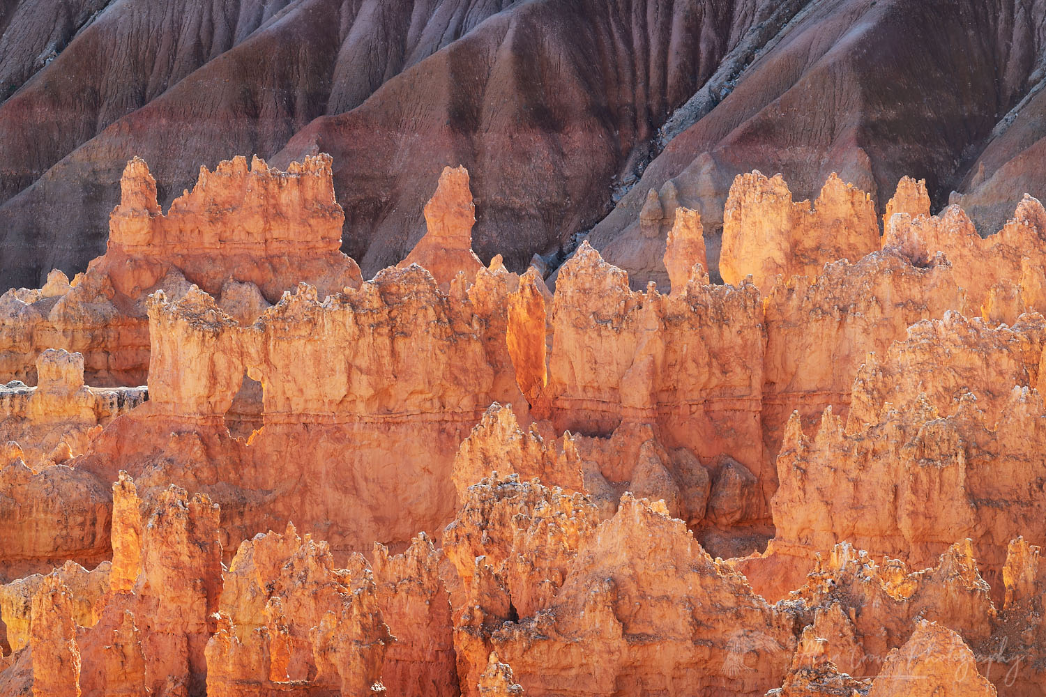 View of colorful hoodoos of the Silent City seen from Sunrise Point, Bryce Canyon National Park, Utah #76420