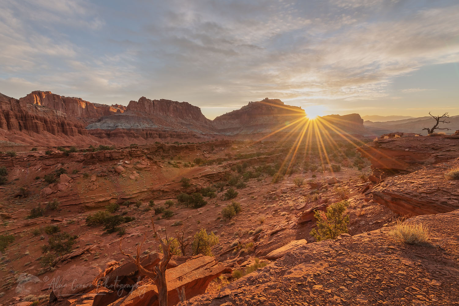 Sunrise from Panorama Point, Capitol Reef National Park Utah #75494