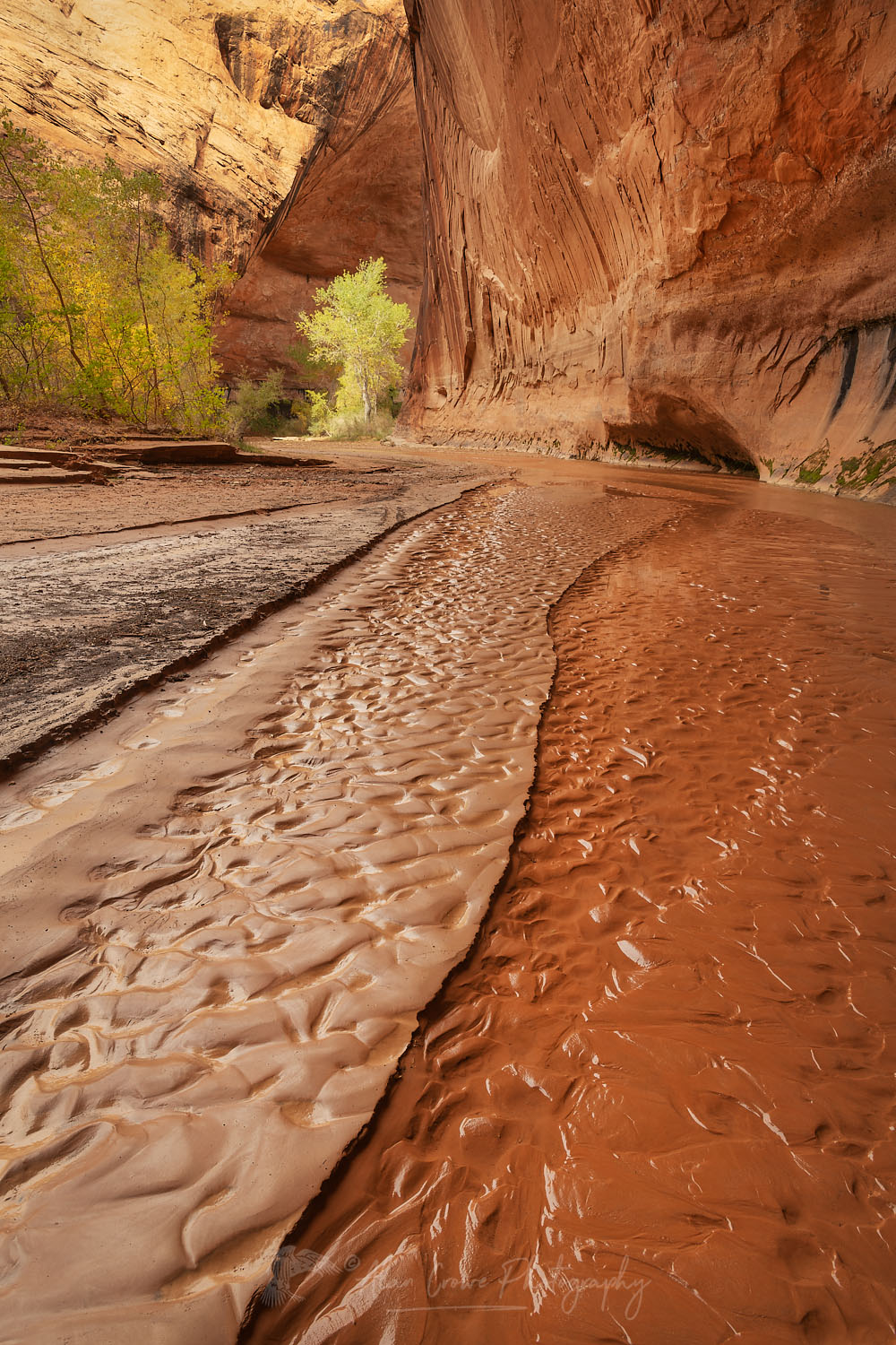 Sand and mud patterns in stream, Coyote Gulch Glen Canyon National Recreation Area Utah #75985