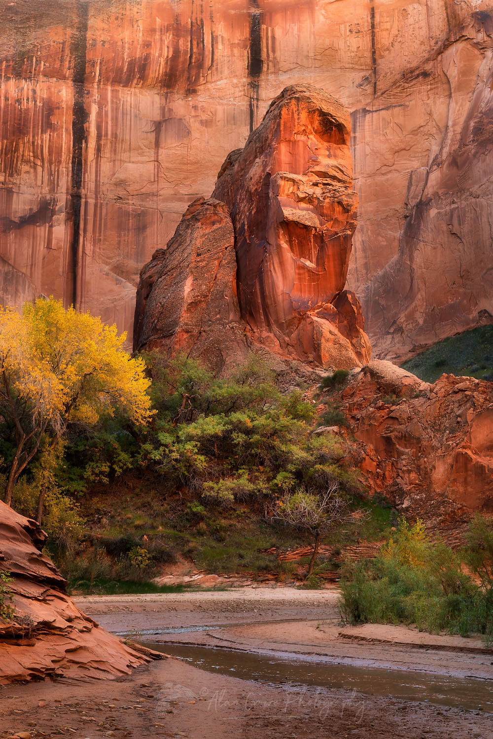 Coyote Gulch, Glen Canyon National Recreation Area Utah #76073or
