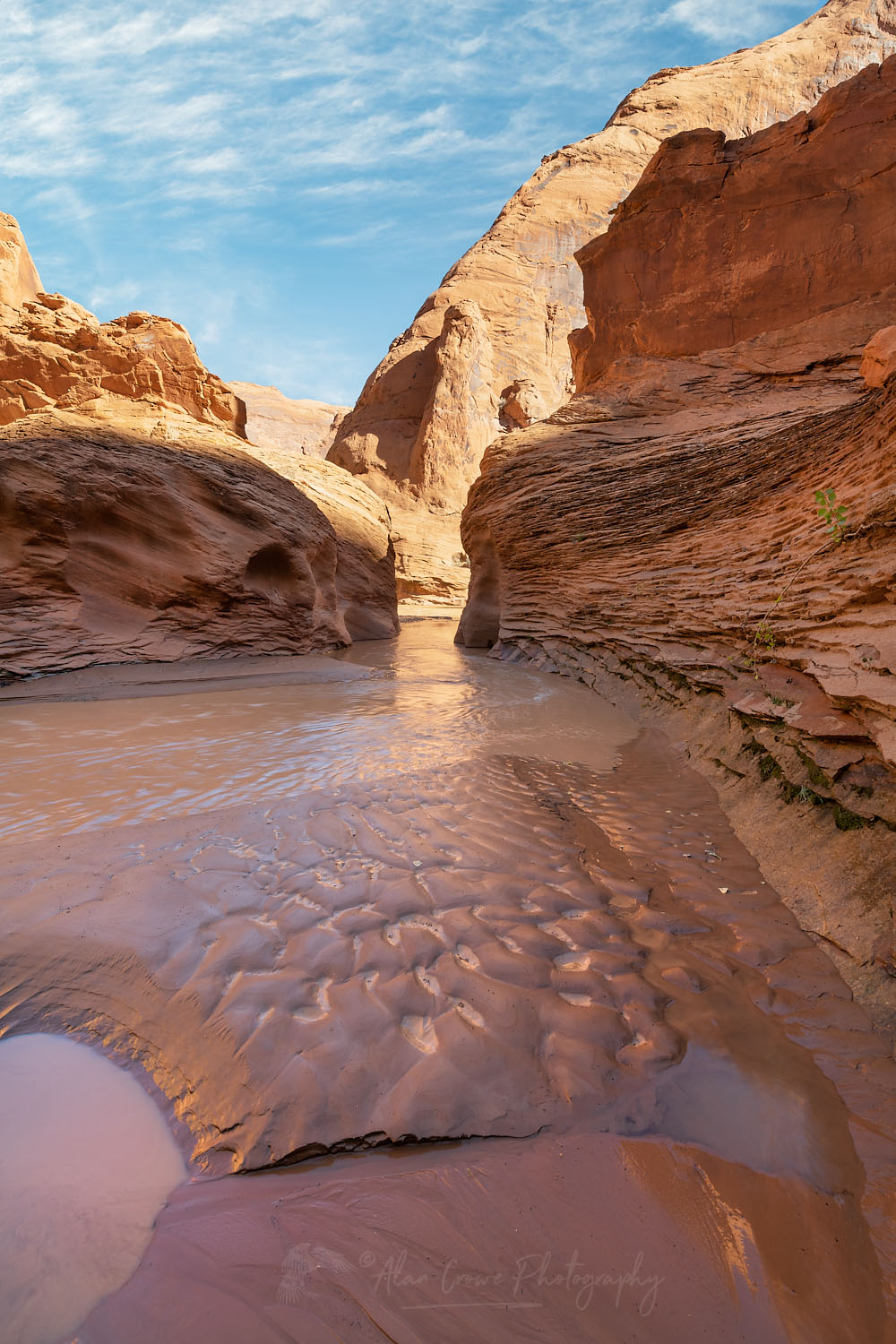 Steam flowing through canyon walls of Coyote Gulch, Glen Canyon National Recreation Area Utah #76253