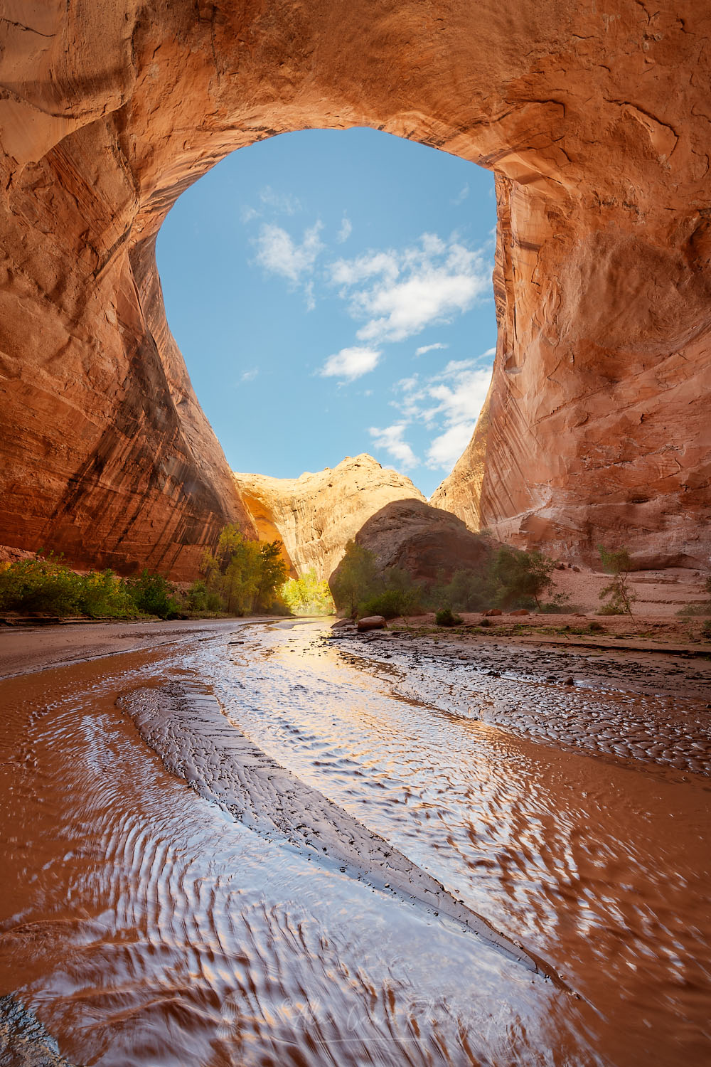 Giant sandstone alcove adjacent to Jacob Hamblin Arch, Glen Canyon National Recreation Area Utah #76264