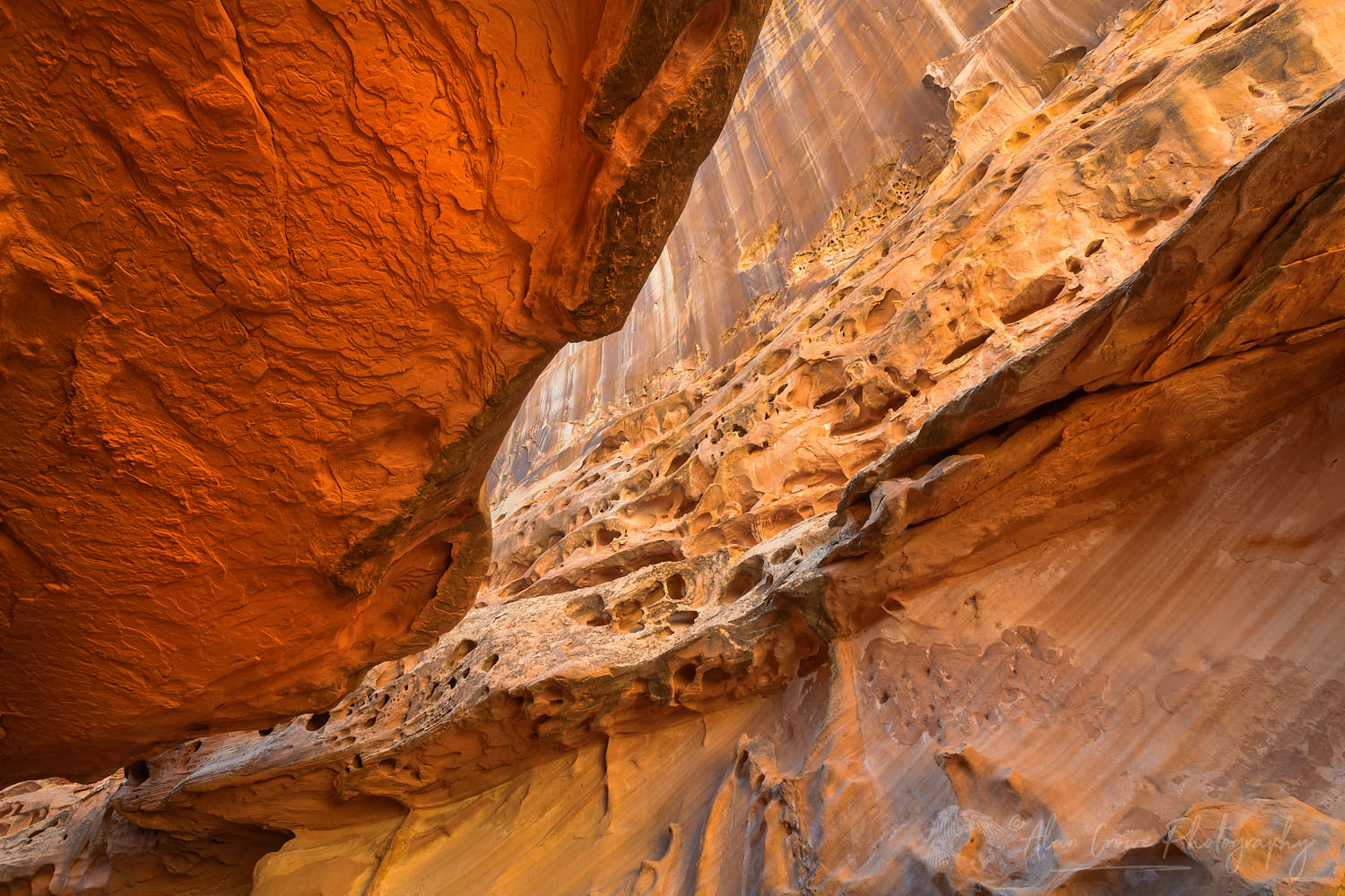 Eroded sandstone walls and overhangs in the"subway" slot portion of Crack Canyon San Rafael Reef Utah #75122
