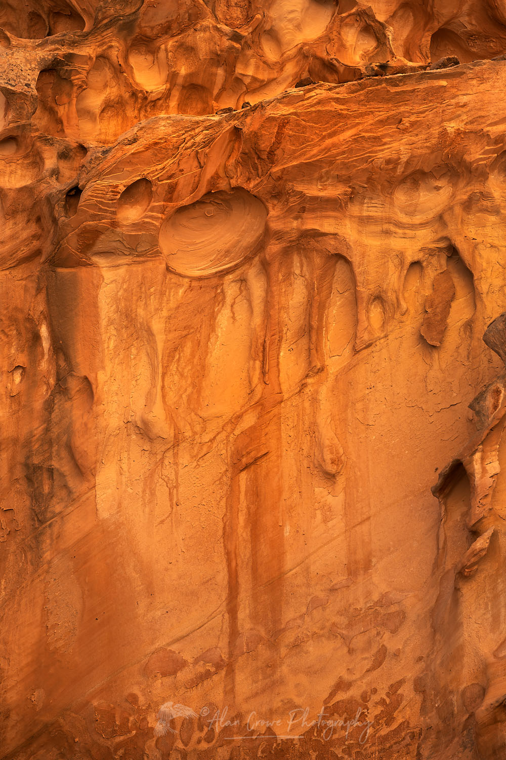 Eroded sandstone walls, Crack Canyon San Rafael Reef Utah #75158