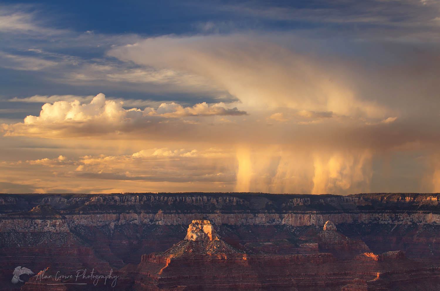 Evening storm over the North Rim of Grand Canyon seen from Mather Point, Grand Canyon National Park #55490
