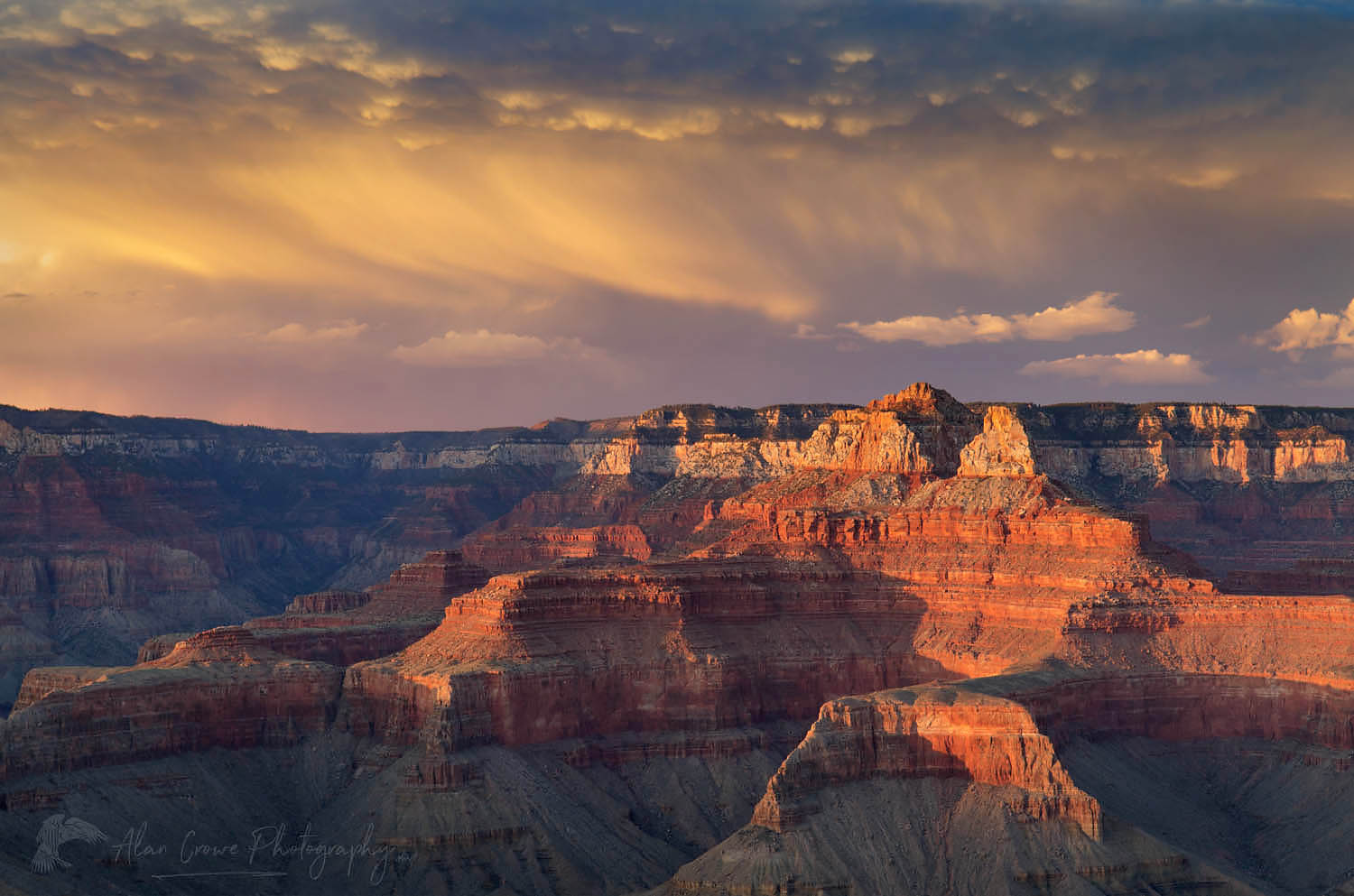 Evening storm over the North Rim of Grand Canyon seen from Cedar Ridge, Grand Canyon National Park #55558