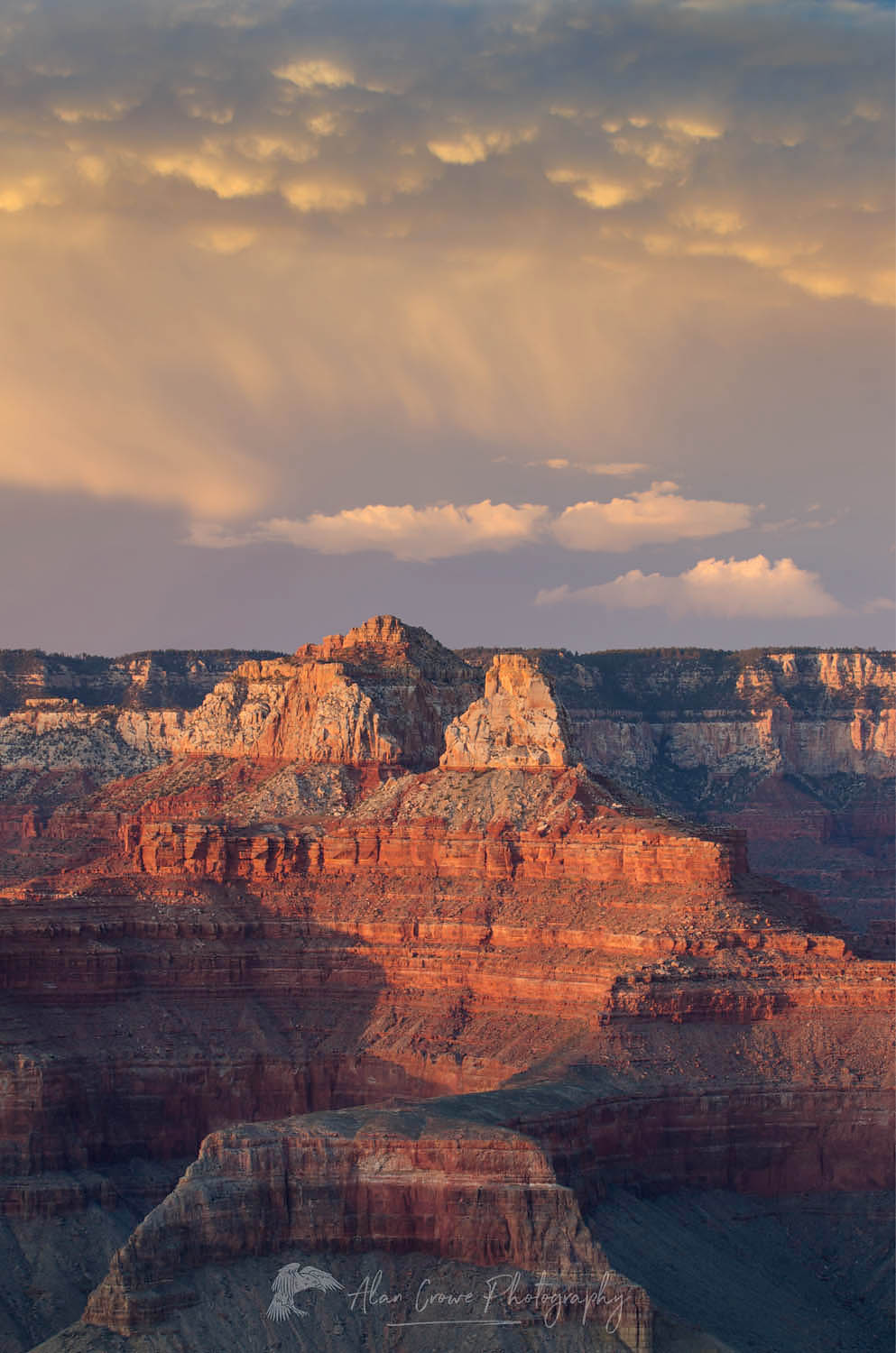 Evening storm over the North Rim of Grand Canyon seen from Cedar Ridge, Grand Canyon National Park #55560