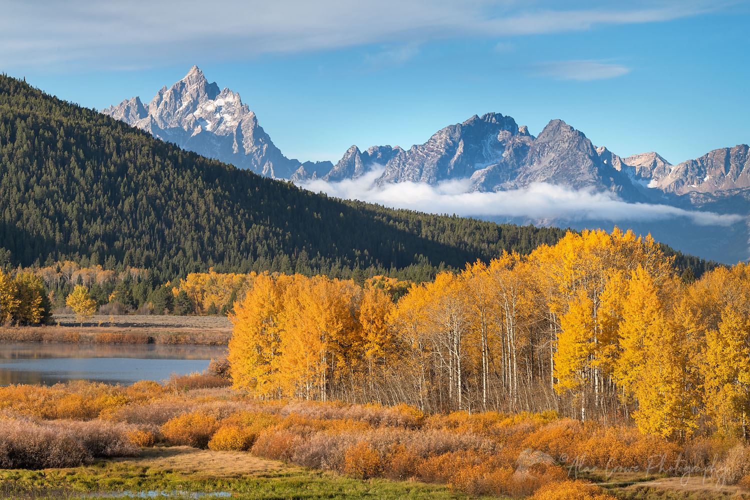 Fall color at Oxbow Bend of the Snake River, Grand Teton National Park Wyoming #74143