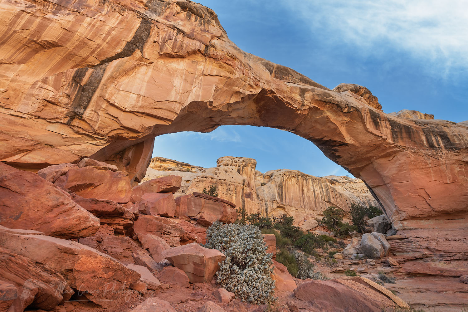 Hickman Bridge Capitol Reef National Park Utah #75638