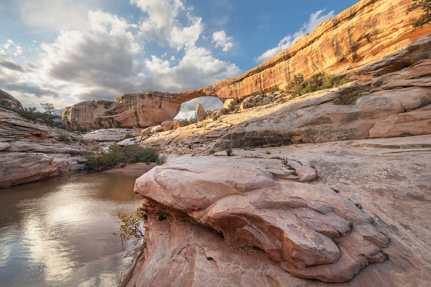 Owachomo Bridge Natural Bridges National Monument Utah #74920