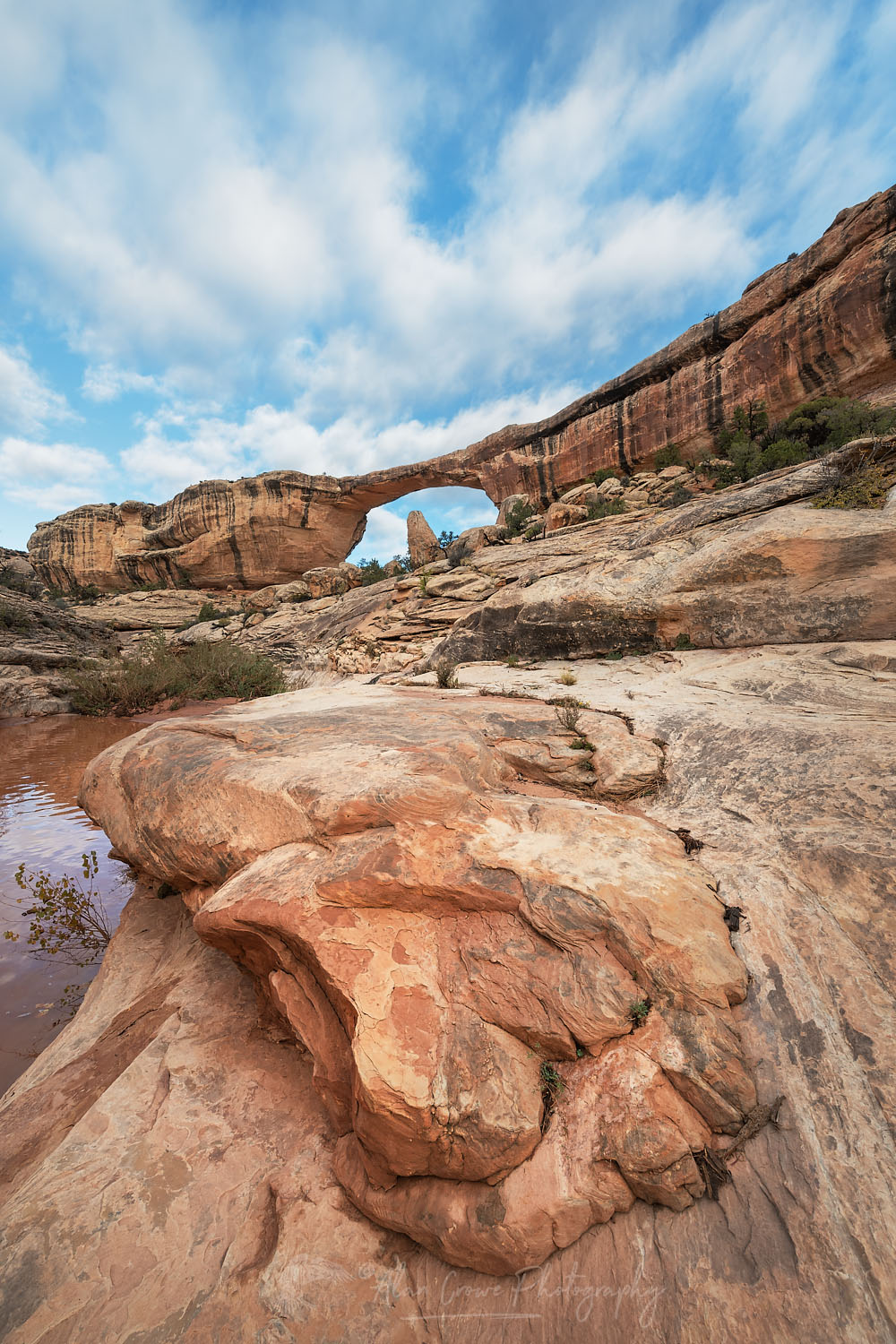 Owachomo Bridge Natural Bridges National Monument Utah #74934