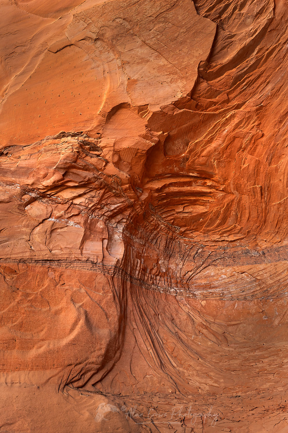 Sandstone canyon wall patterns resembling an archaeopteryx fossil in Coyote Gulch, Glen Canyon National Recreation Area Utah #76313