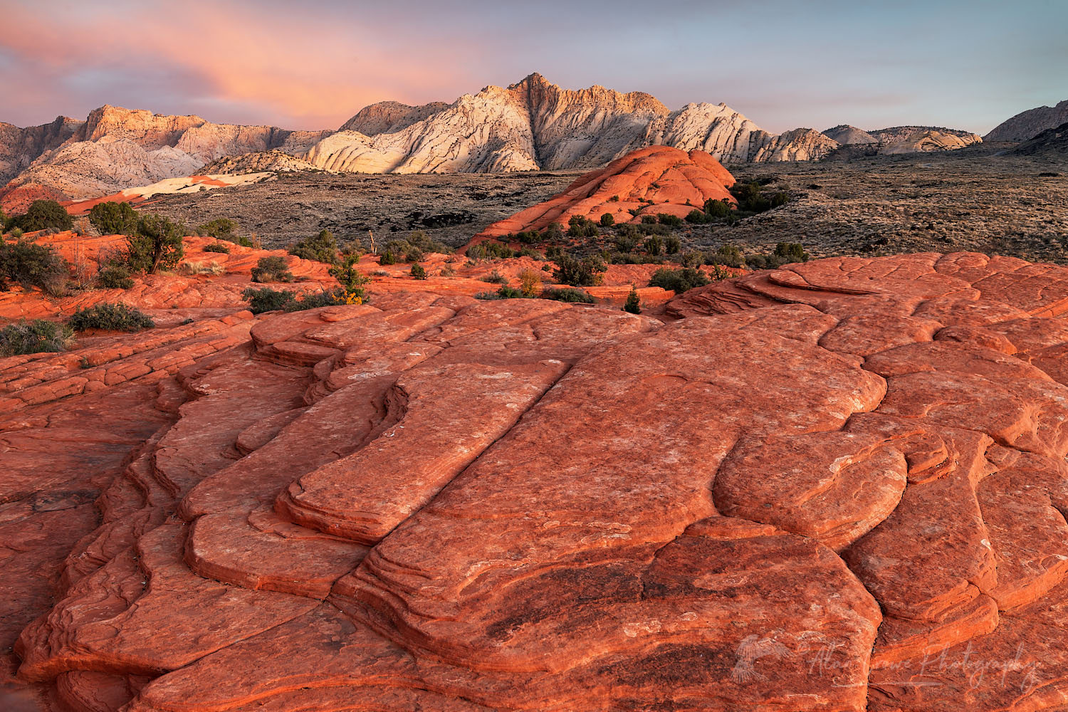 Petrified Dunes slickrock formations, Snow Canyon State Park Utah #77042