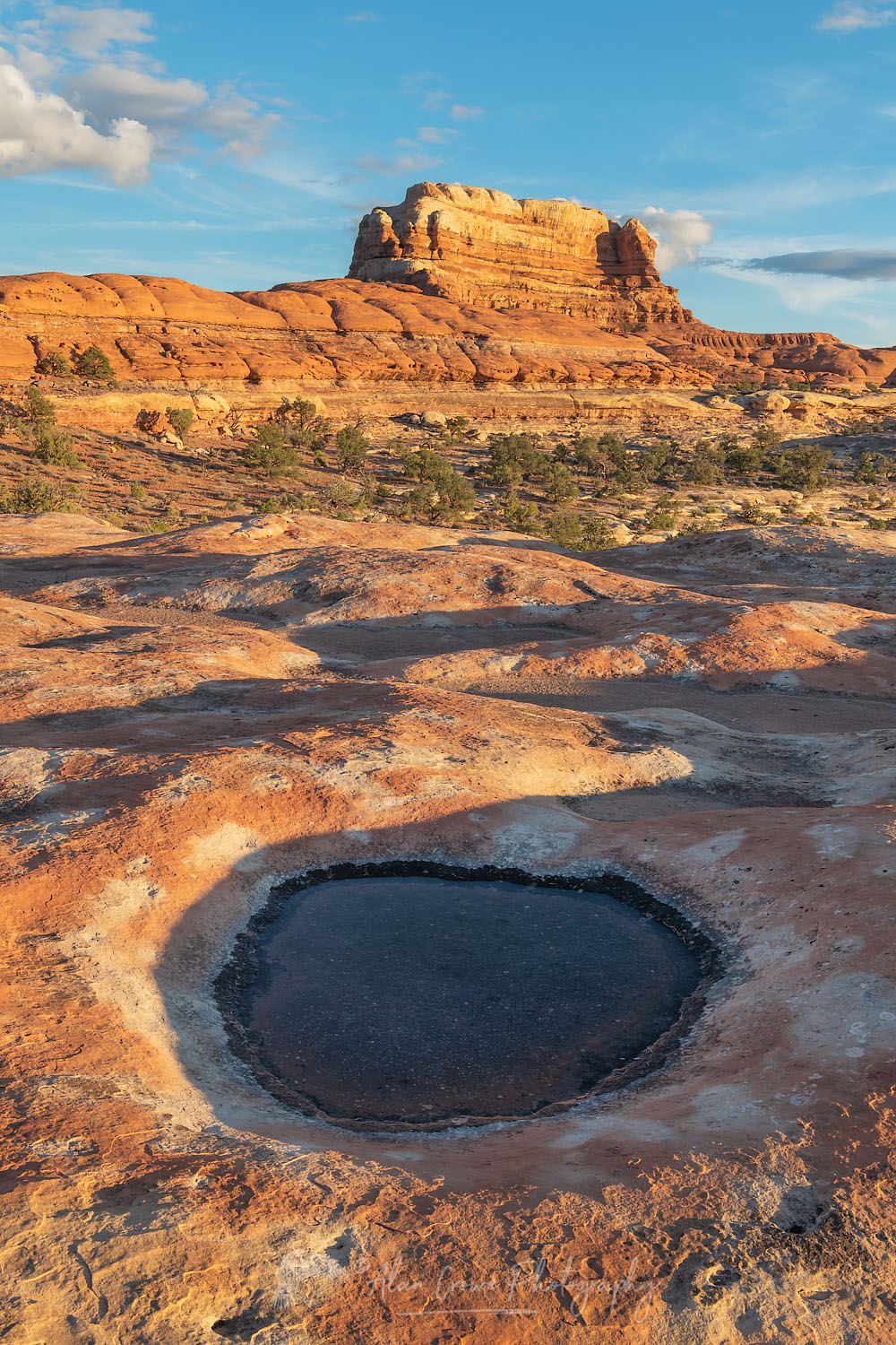Water filled potholes on slickrock mesa, Needles District, Canyonlands National Park Utah #74622
