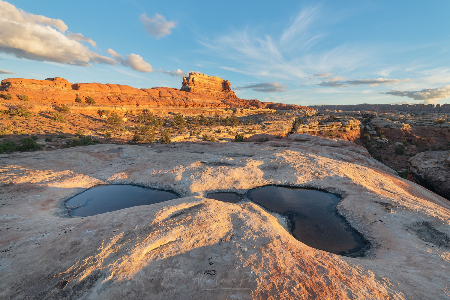 Sandstone butte reflected in water-filled potholes on slickrock mesa, Needles District, Canyonlands National Park Utah 74652