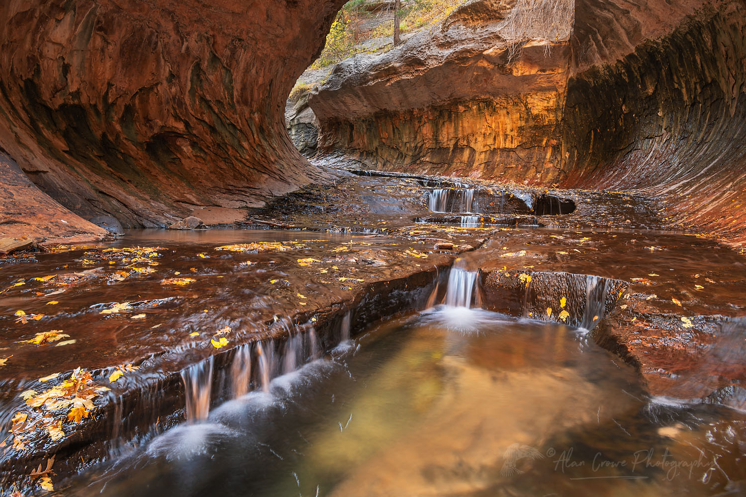 Emerald green pools in The Subway, Left Fork North Creek, Zion National Park Utah #76815