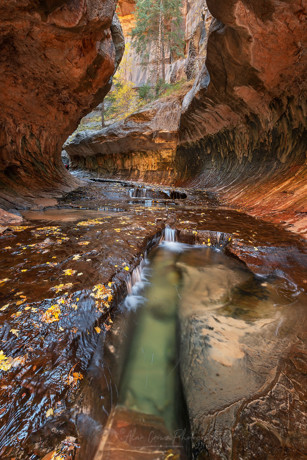 Emerald green pools in The Subway, Left Fork North Creek, Zion National Park Utah #76842