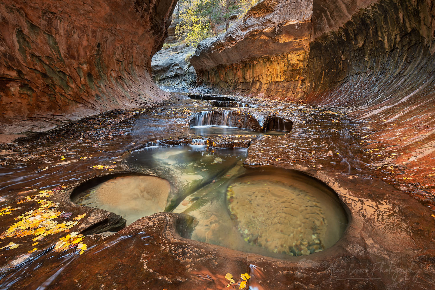 Emerald green pools in The Subway, Left Fork North Creek, Zion National Park Utah #76847