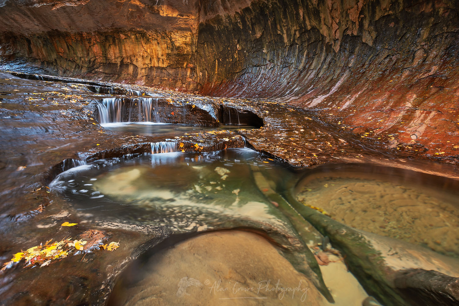 Emerald green pools in The Subway, Left Fork North Creek, Zion National Park Utah #76859