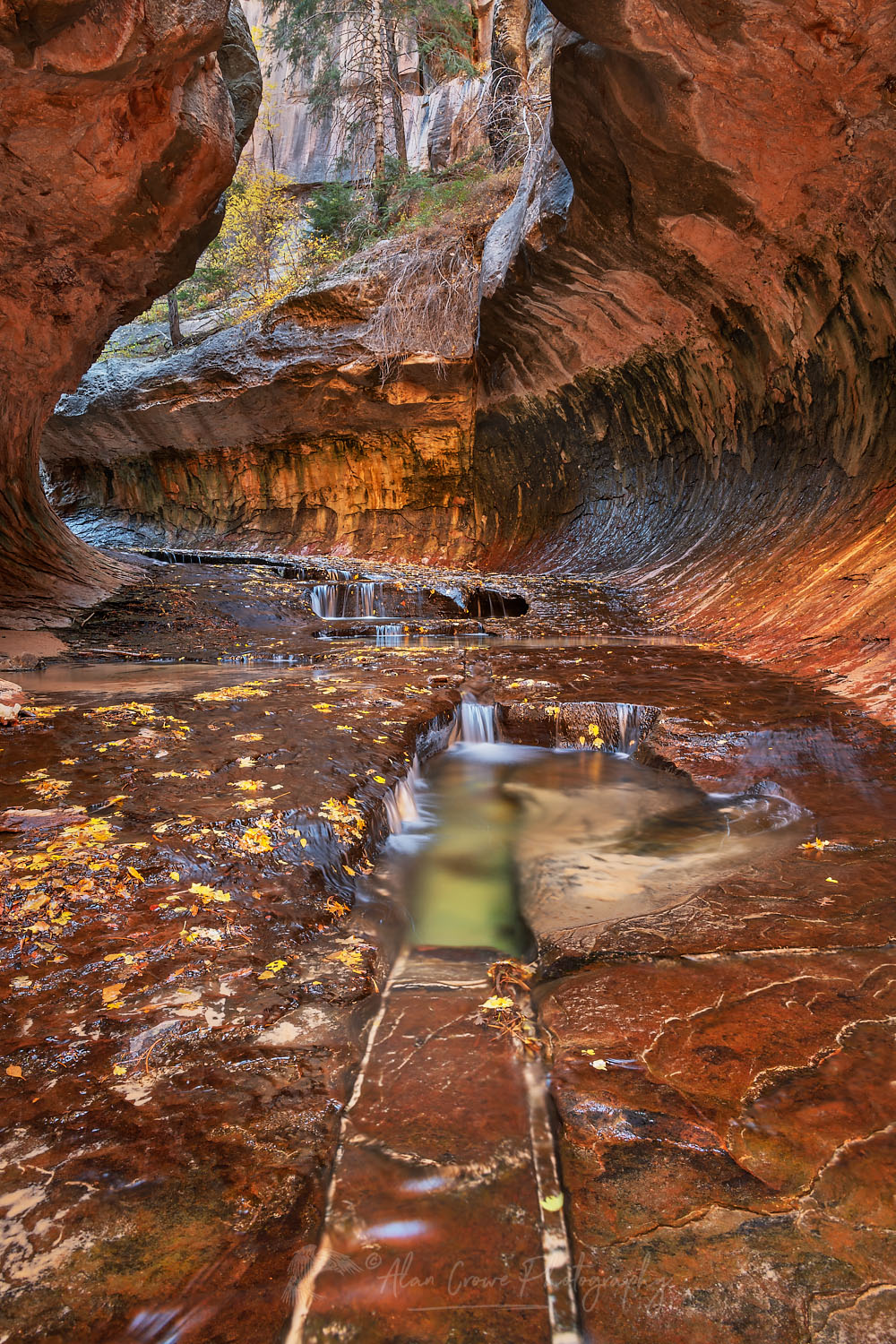 The Subway, Left Fork North Creek, Zion National Park Utah #76887