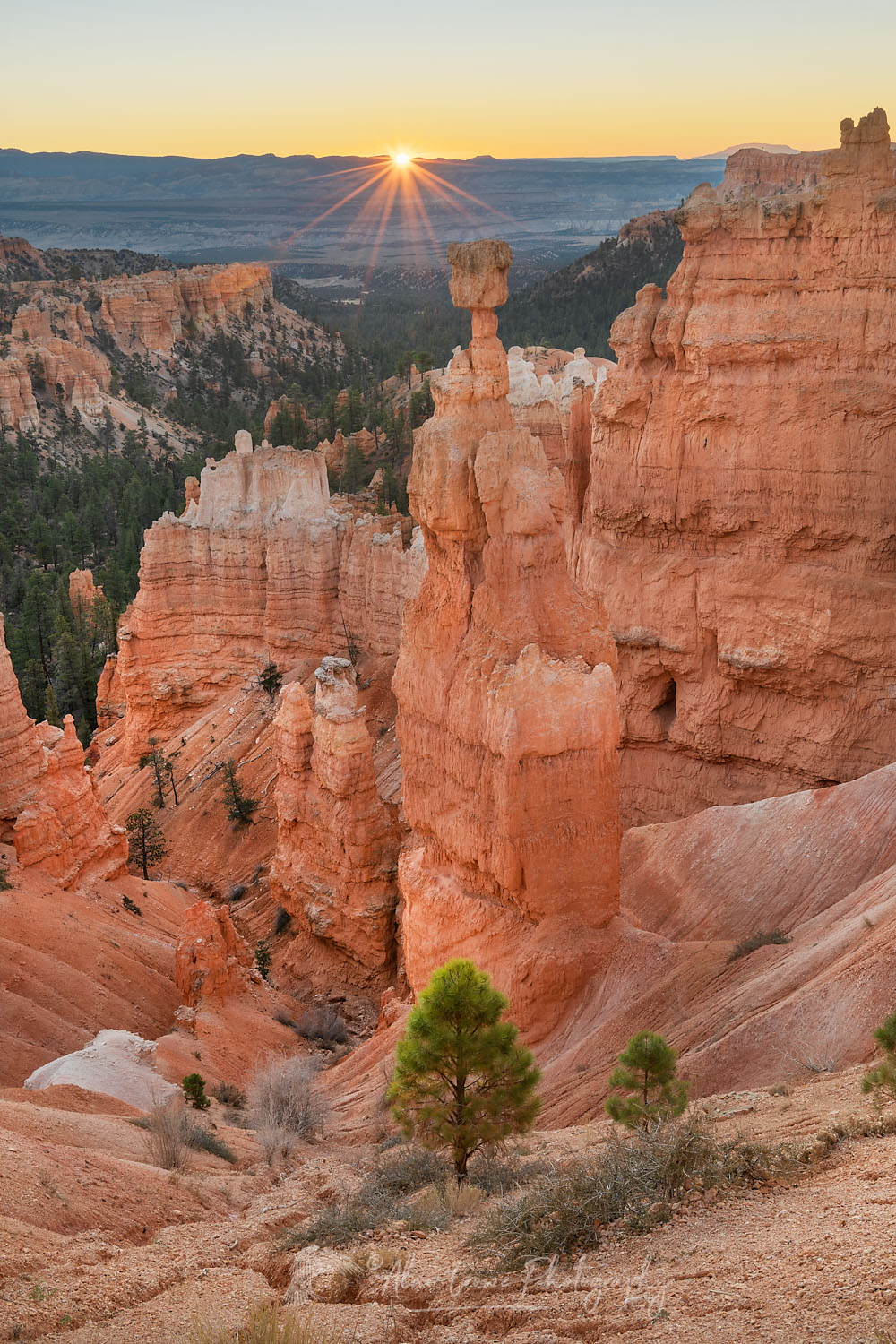 Sunrise view of Thor's Hammer and colorful hoodoos seen from below the canyon rim at Sunrise Point, Bryce Canyon National Park, Utah #76480
